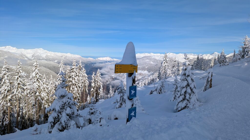 A hiking trail signpost half buried in snow, sporting a snowy hat.