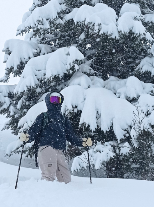 A skier with a snowy tree in the background